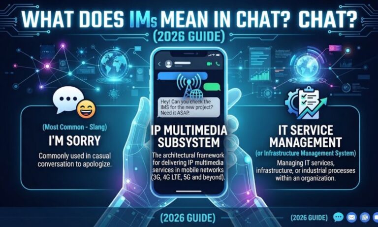 ims meaning